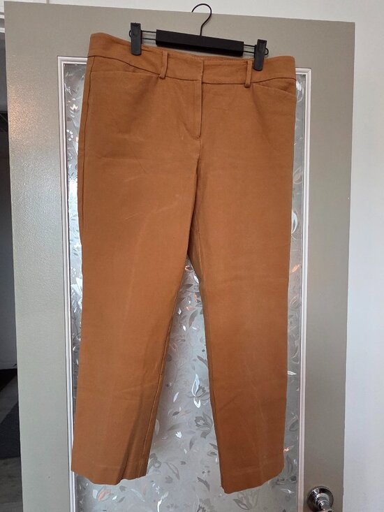 Ann Taylor Factory Pants - Ann Taylor Ankle Pants in Caramel - Size 10